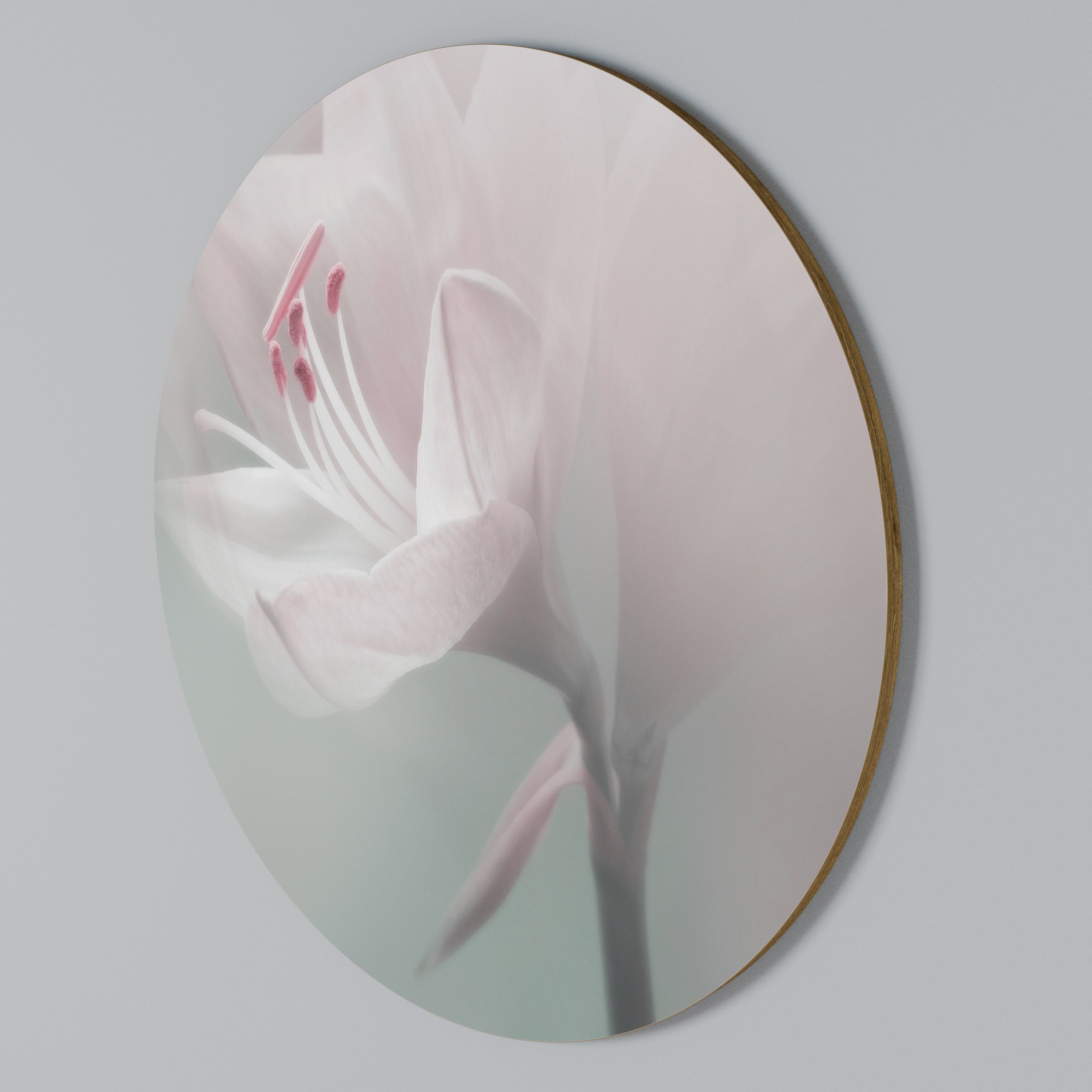 GENTLE LILY Arte de Parede Redonda