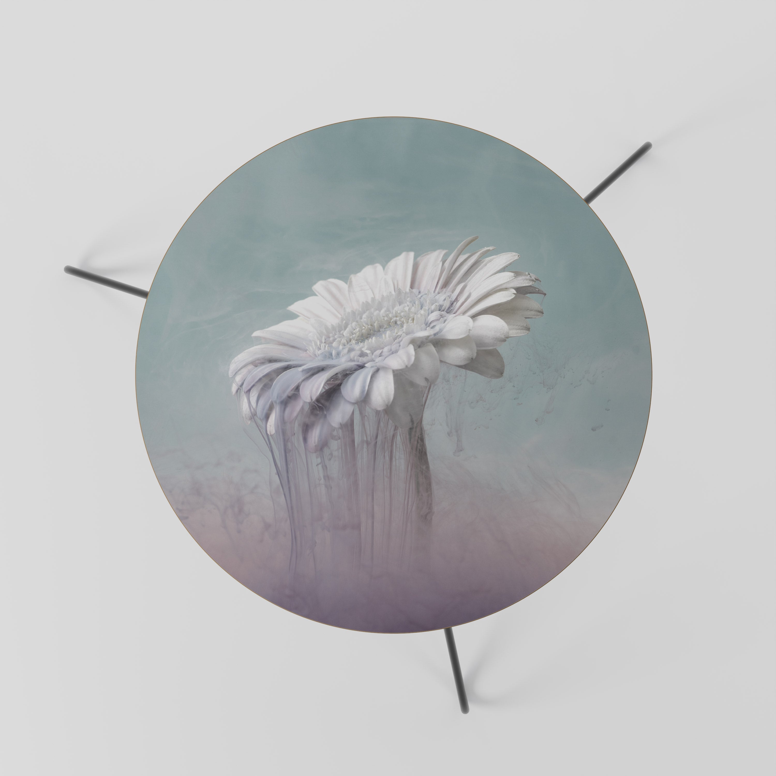 MELTING GERBERA Mesa de Centro 60