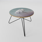 MELTING GERBERA Coffee Table