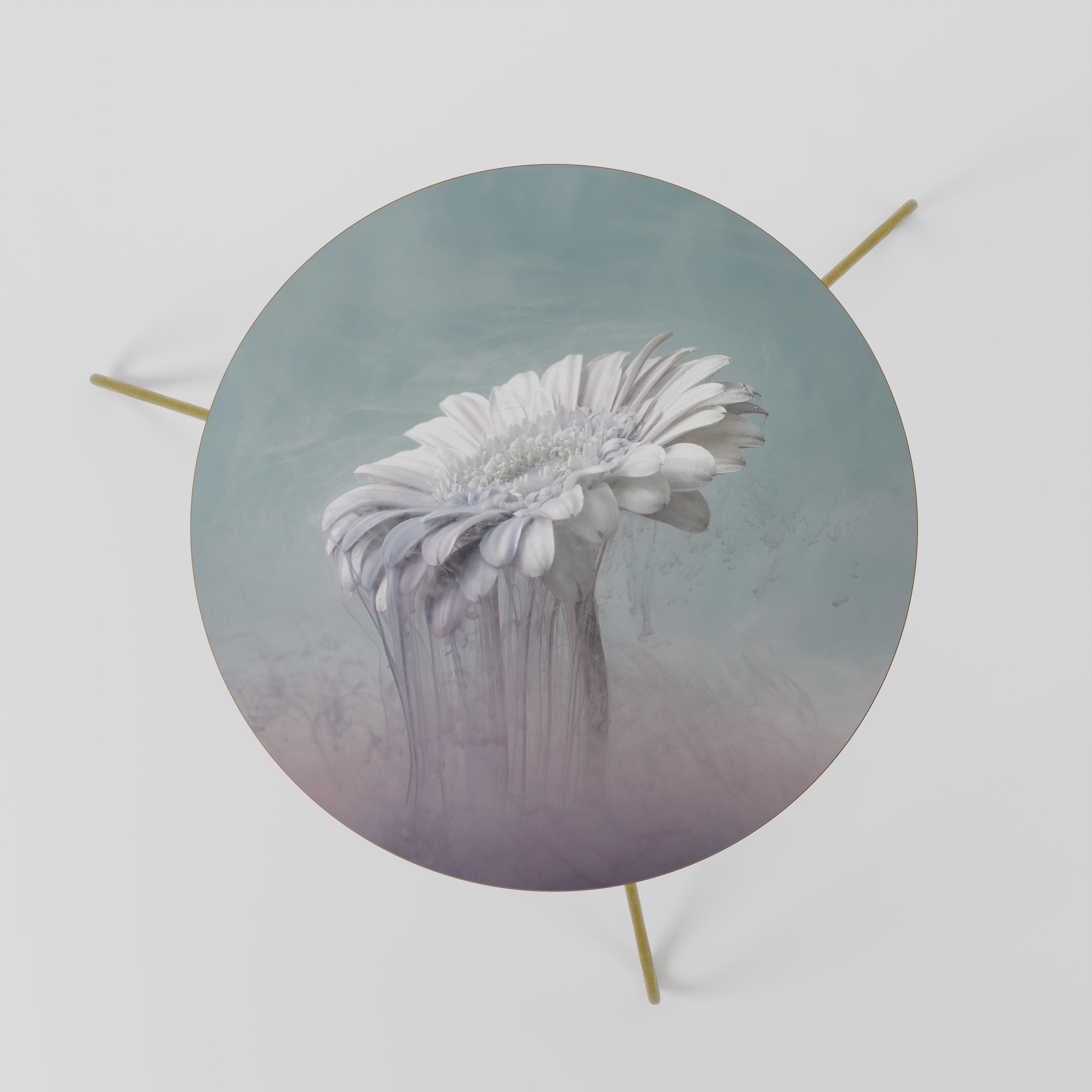 MELTING GERBERA Mesa de Centro 60