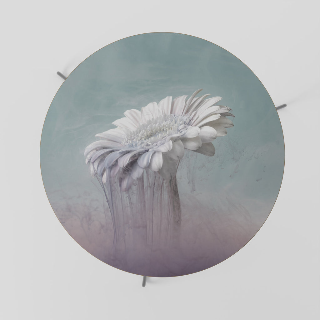 MELTING GERBERA Mesa de Centro 69