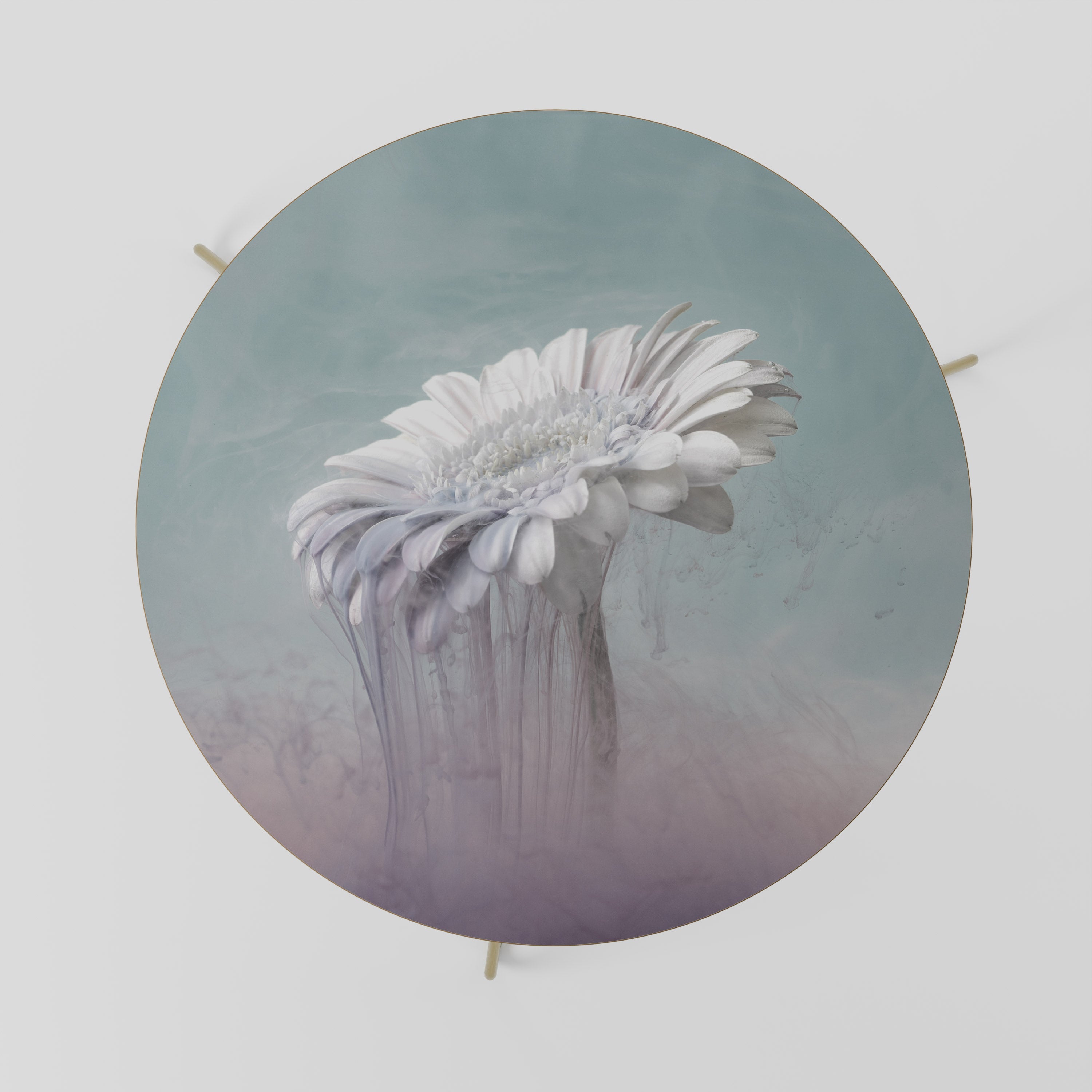 MELTING GERBERA Mesa de Centro 69