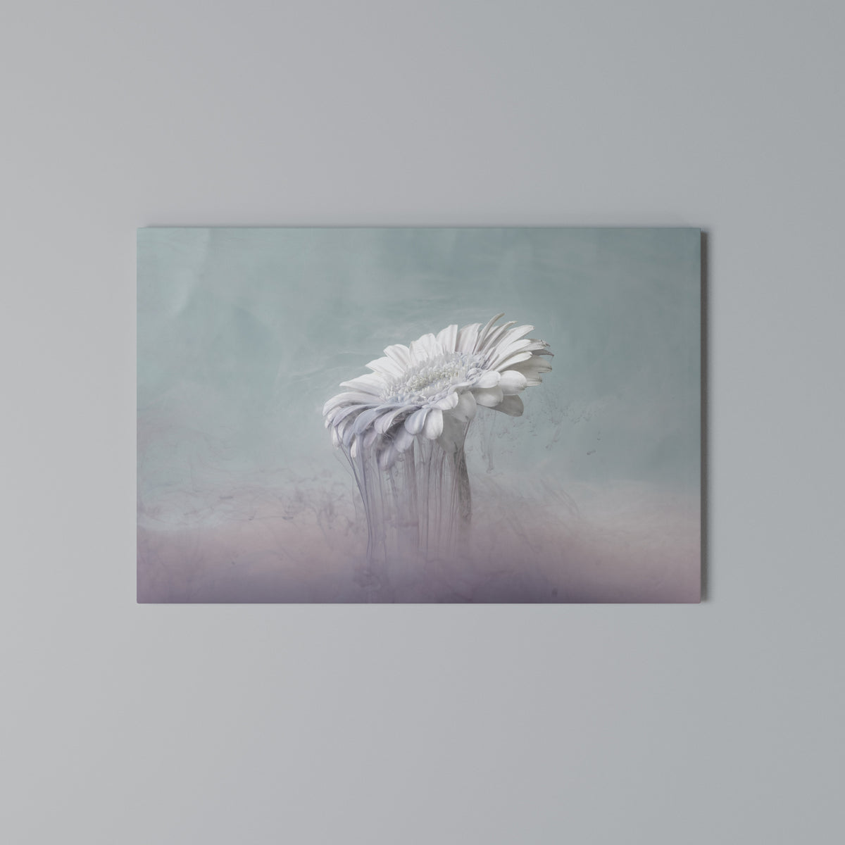 MELTING GERBERA Horizontal Canvas Print