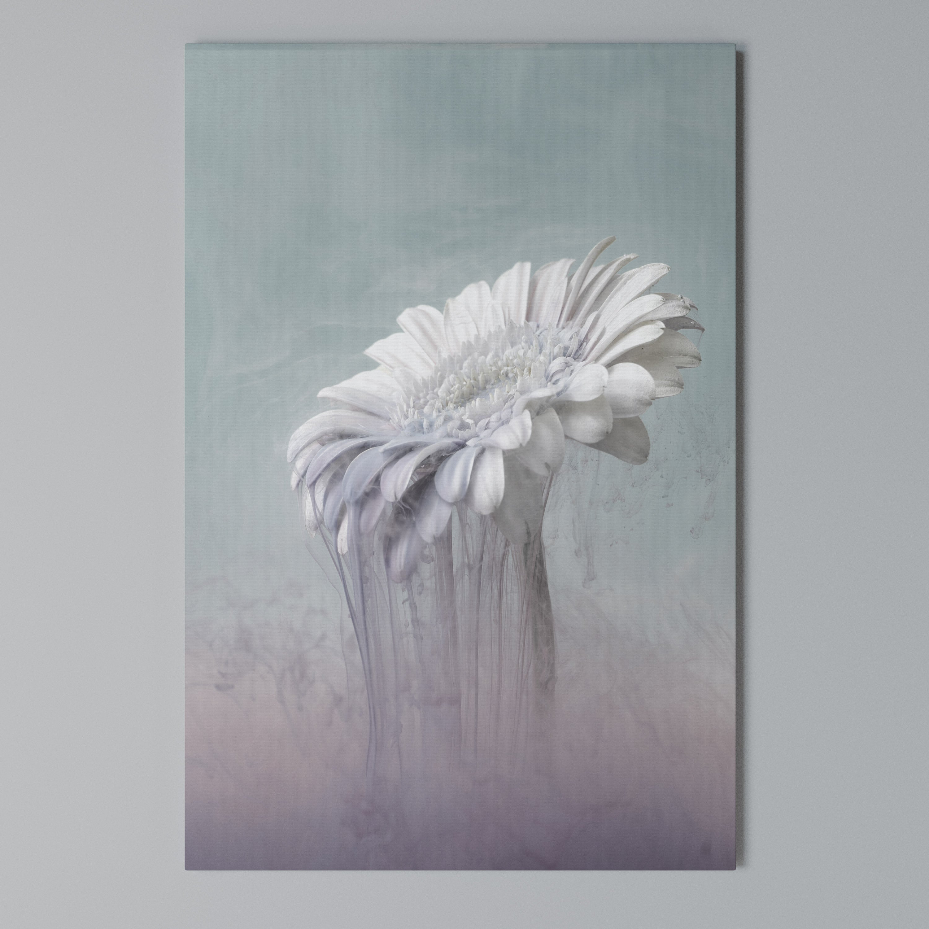 MELTING GERBERA Quadro em tela vertical