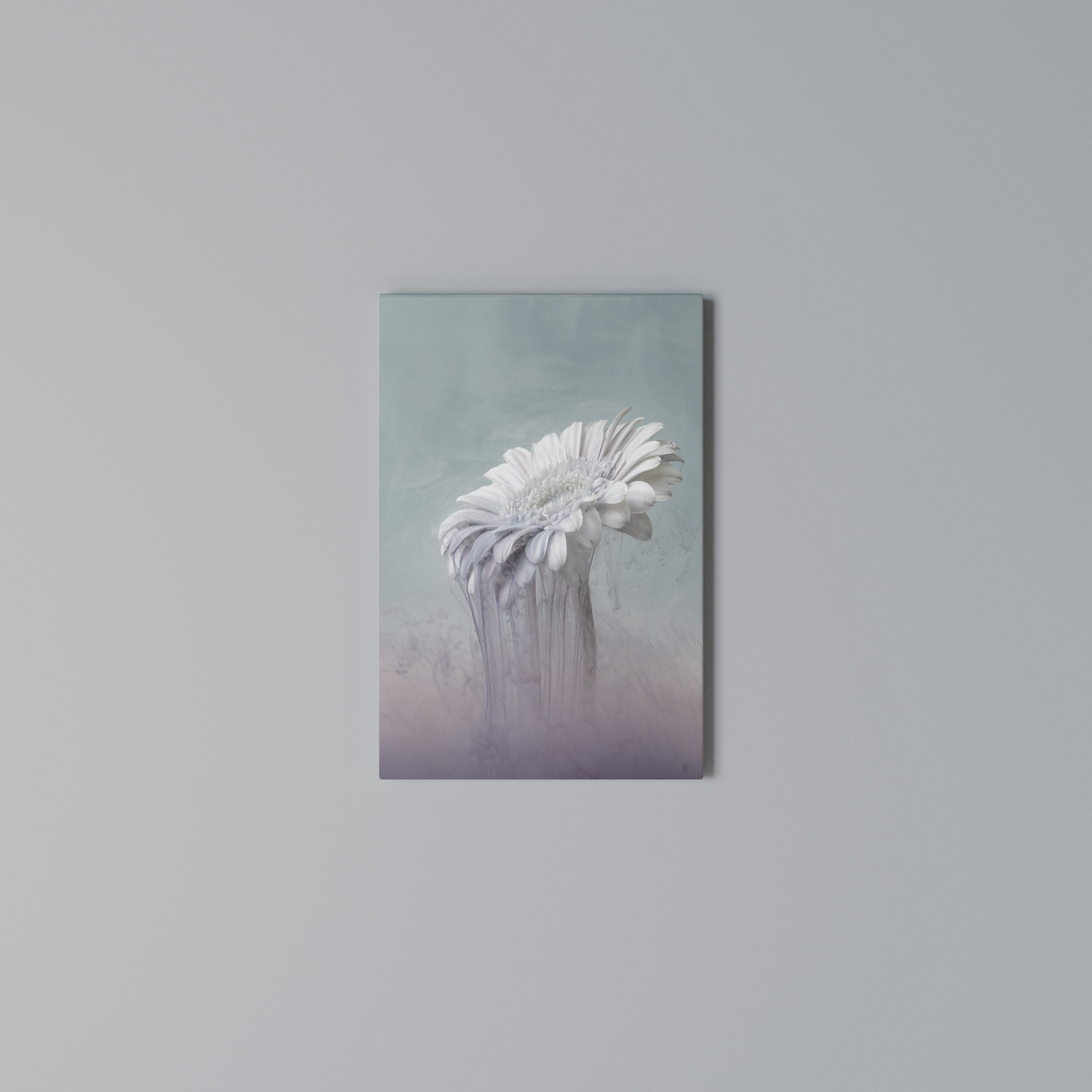 MELTING GERBERA Quadro em tela vertical