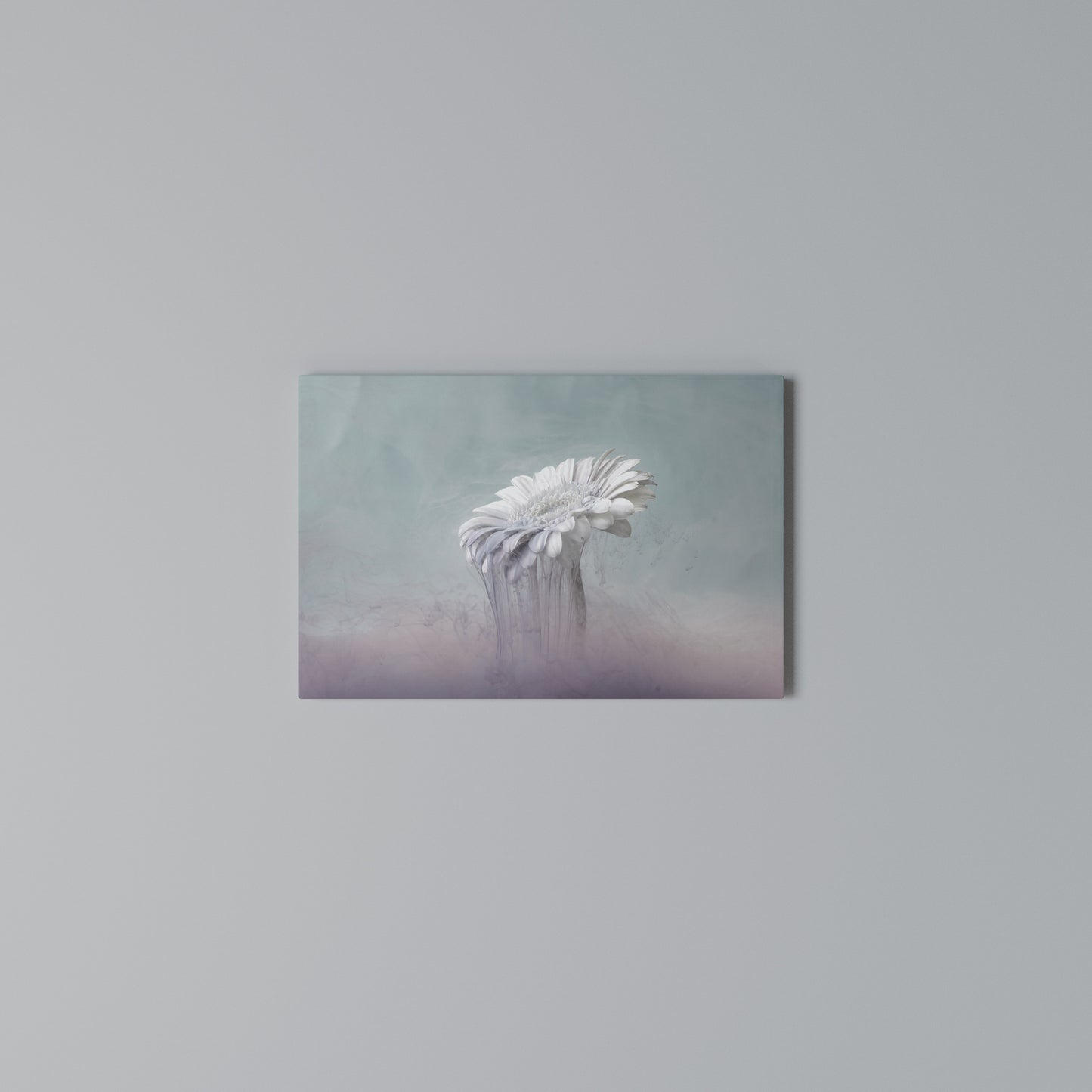 MELTING GERBERA Horizontal Canvas Print