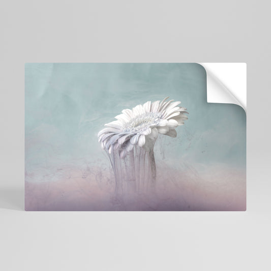 MELTING GERBERA Póster Autocolante Horizontal