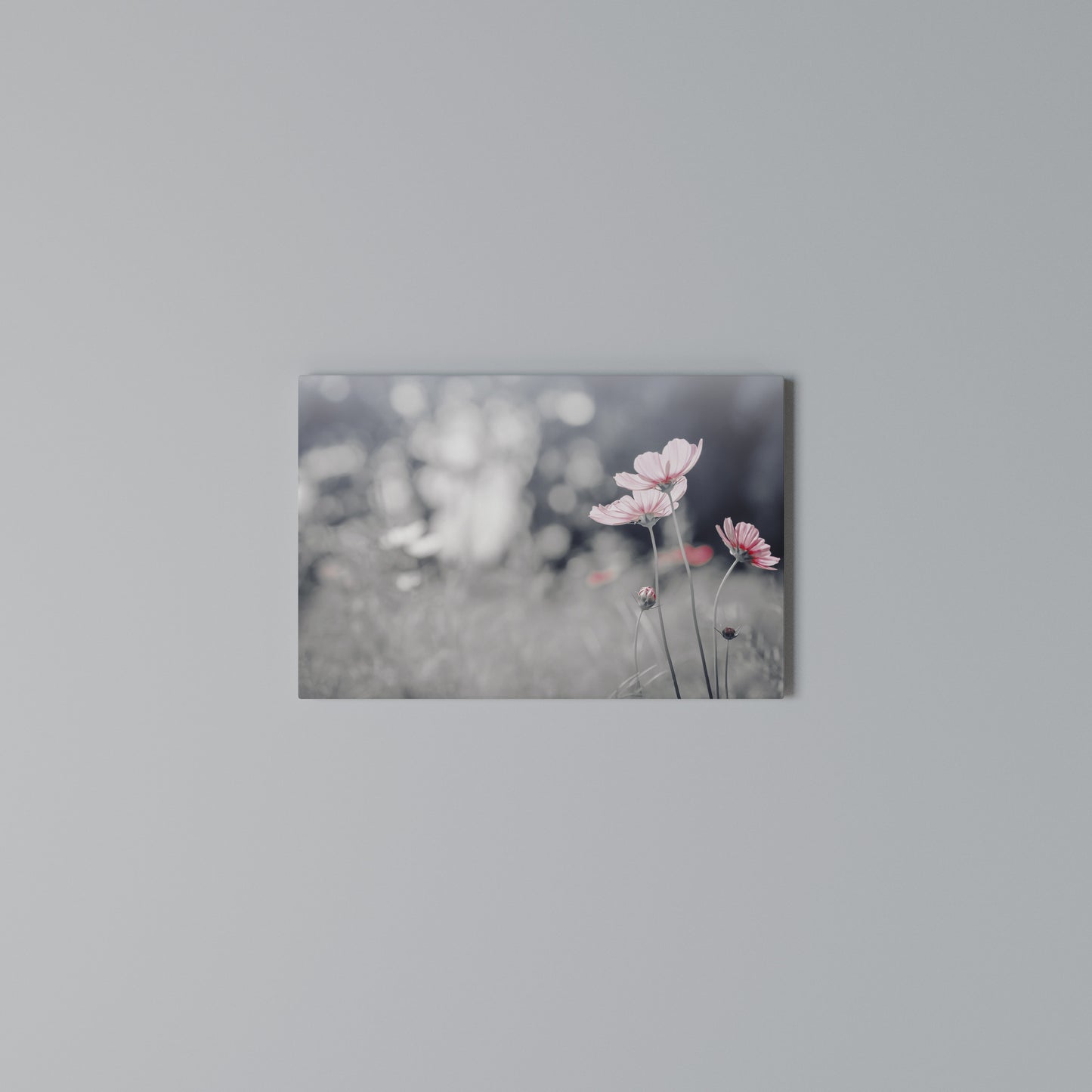 SUBTLE PETAL DANCE Horizontal Canvas Print