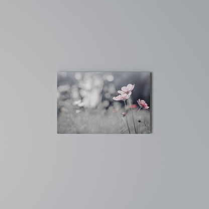 SUBTLE PETAL DANCE Horizontal Canvas Print