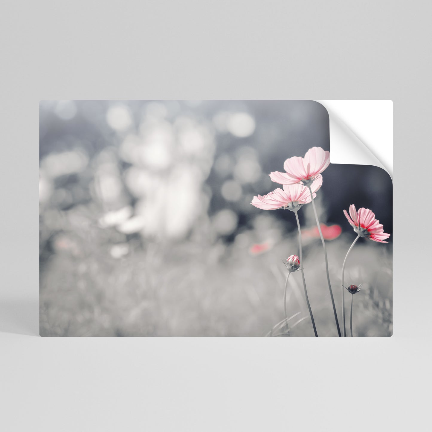 SUBTLE PETAL DANCE Póster Autocolante Horizontal