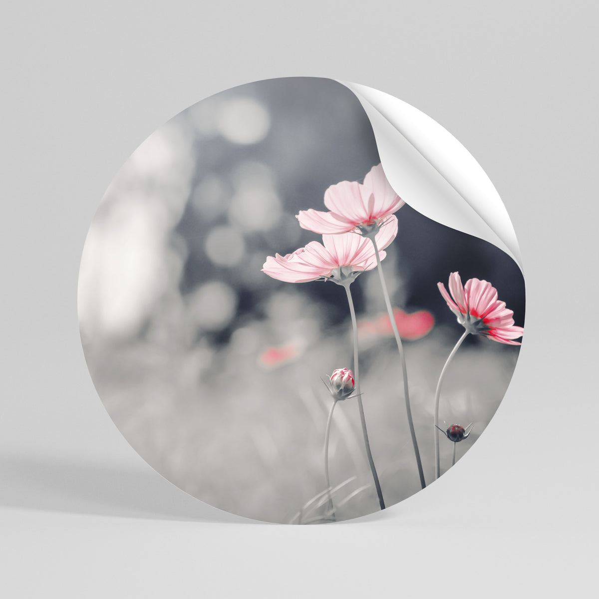 SUBTLE PETAL DANCE Autocolante Redondo Removível