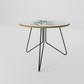 SILHOUETTES IN SOFT WATERS Coffee Table