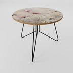 PAINTED LIGHTNESS Mesa de Centro 69