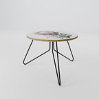 ROYAL PROTEA Mesa de Centro 60