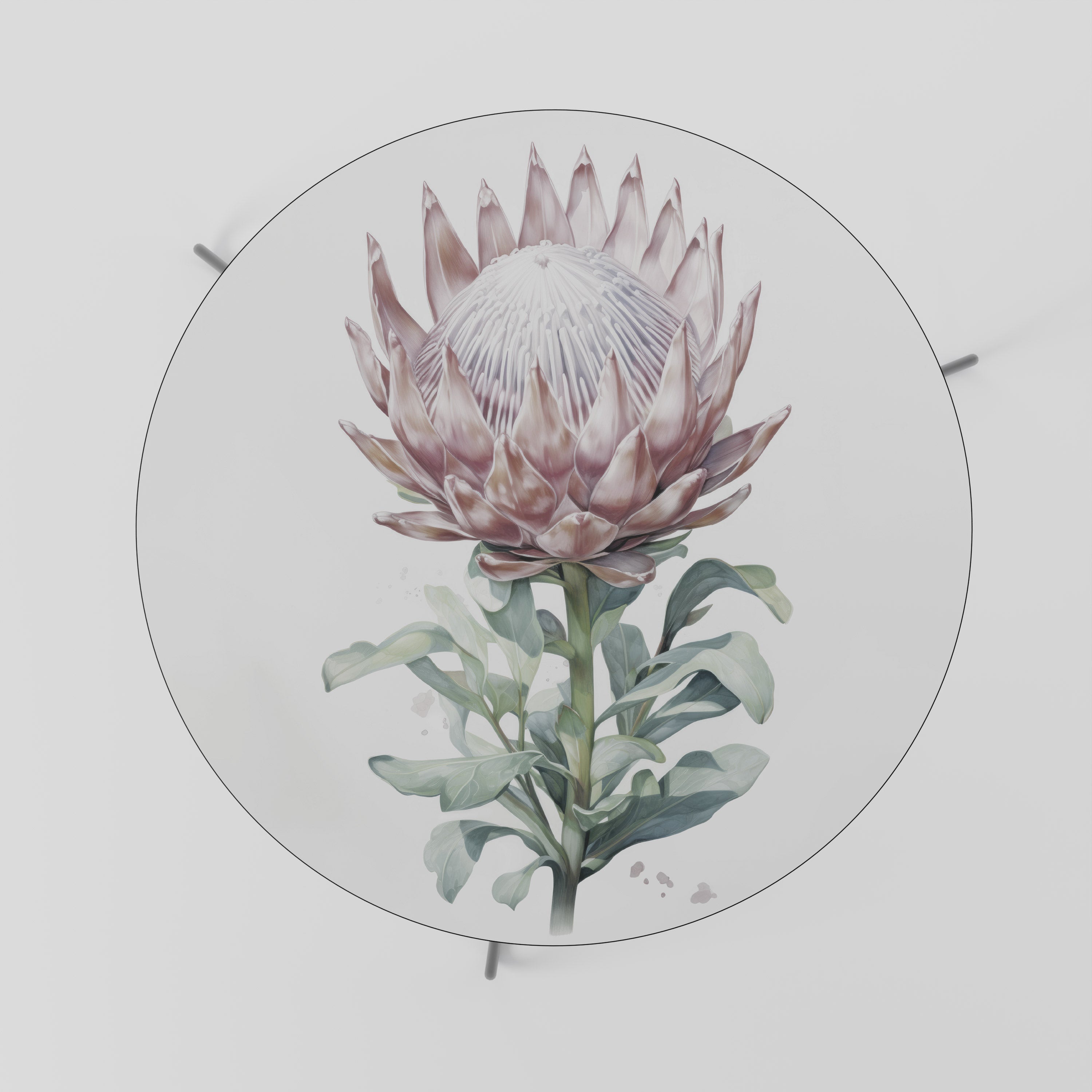 ROYAL PROTEA Mesa de Centro 69