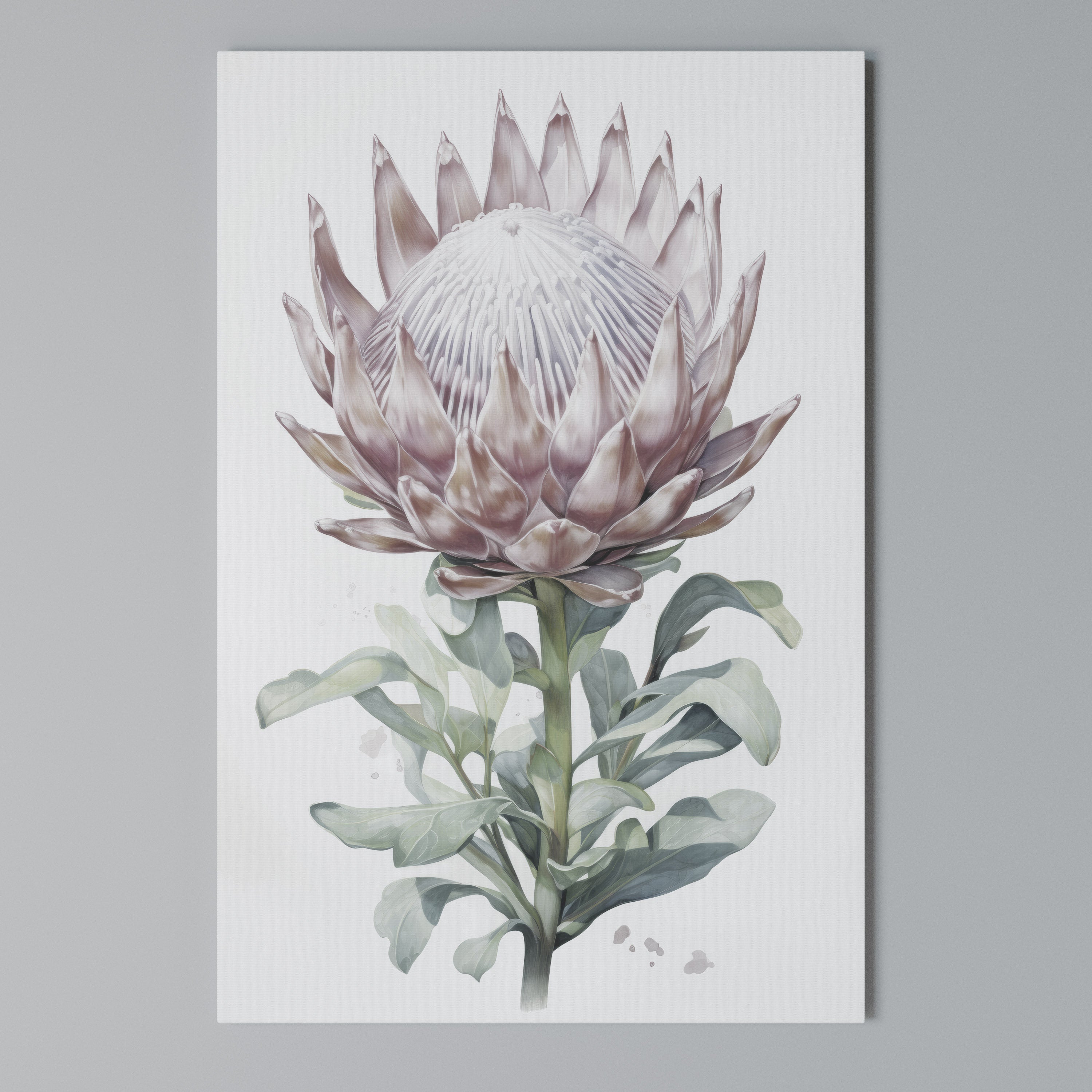 ROYAL PROTEA Quadro em tela vertical