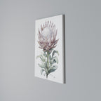 ROYAL PROTEA Quadro em tela vertical