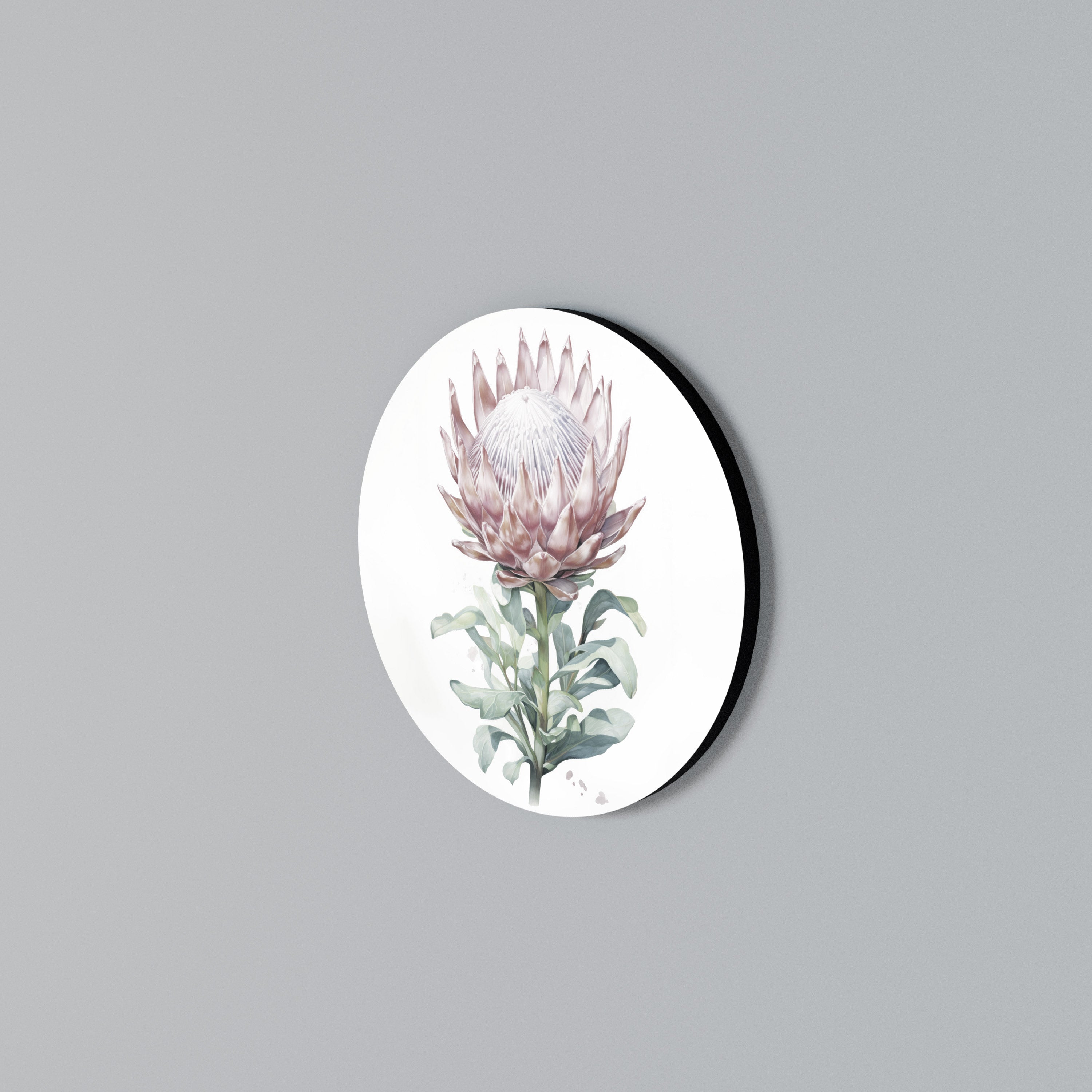 ROYAL PROTEA Arte de Parede Redonda