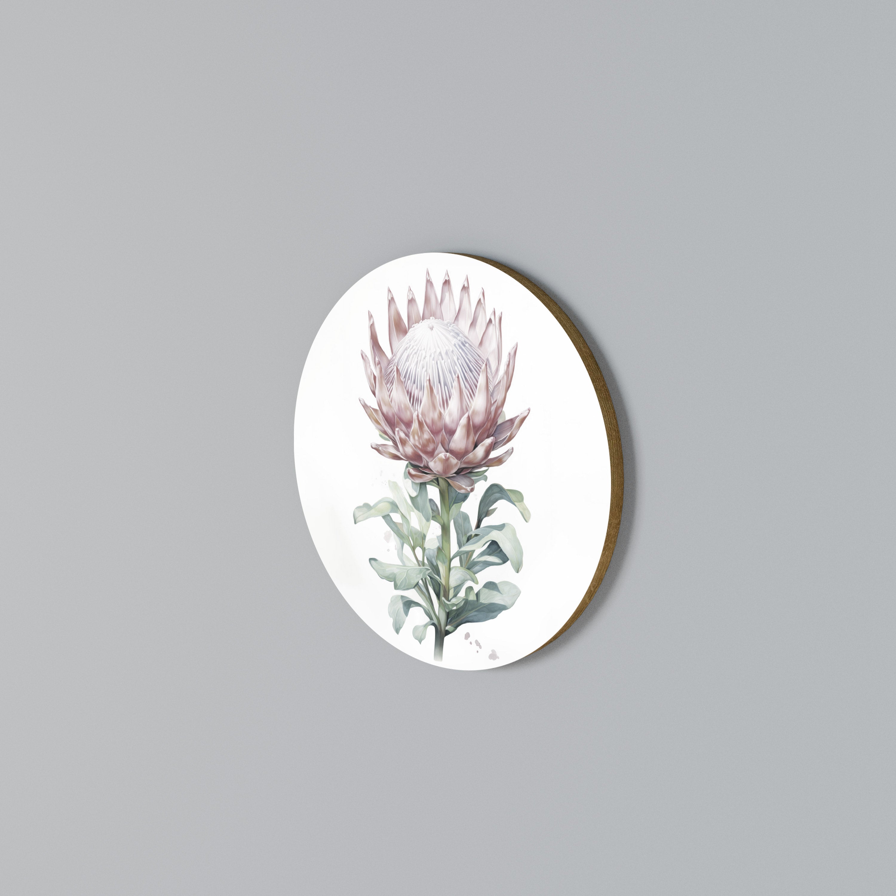 ROYAL PROTEA Arte de Parede Redonda