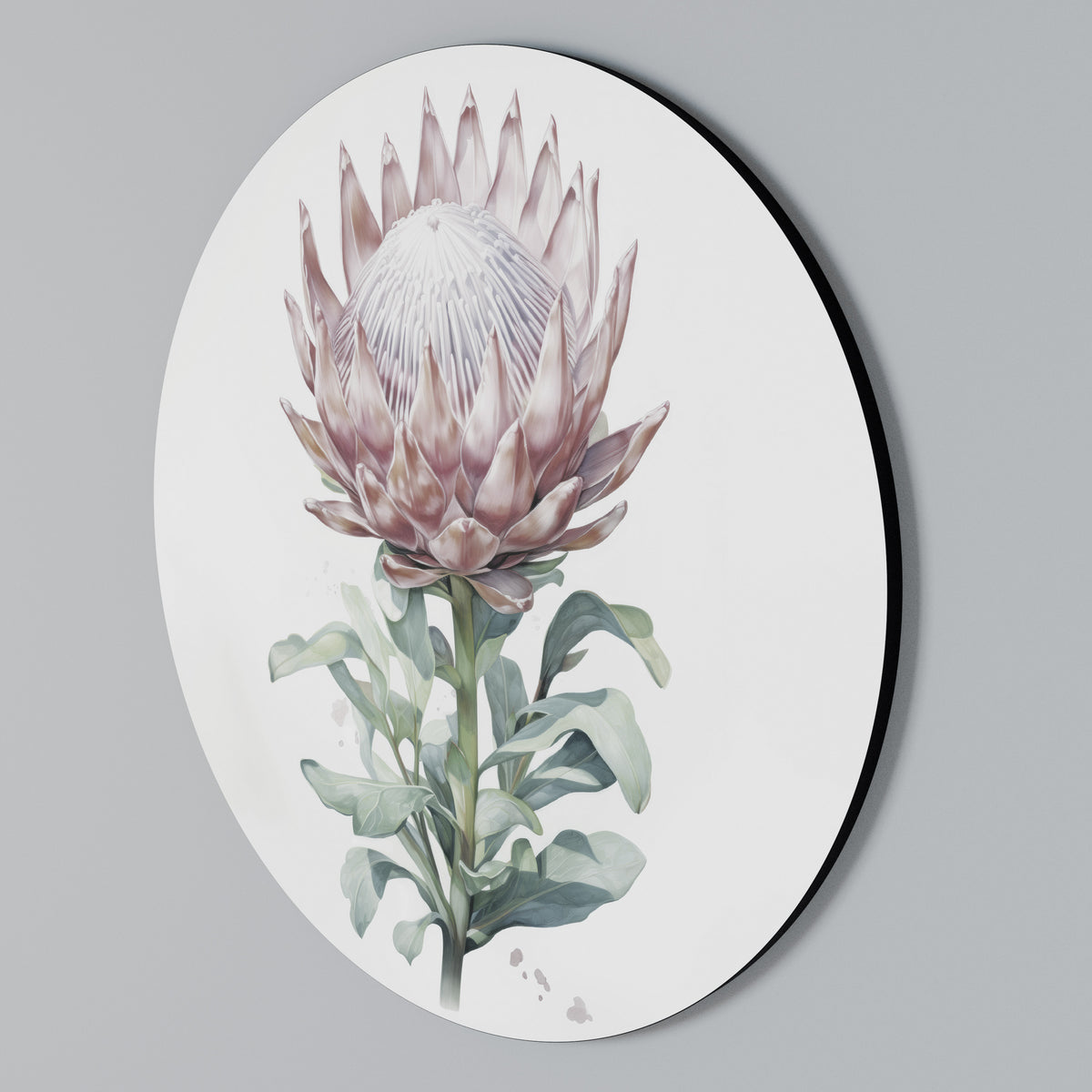 ROYAL PROTEA Arte de Parede Redonda