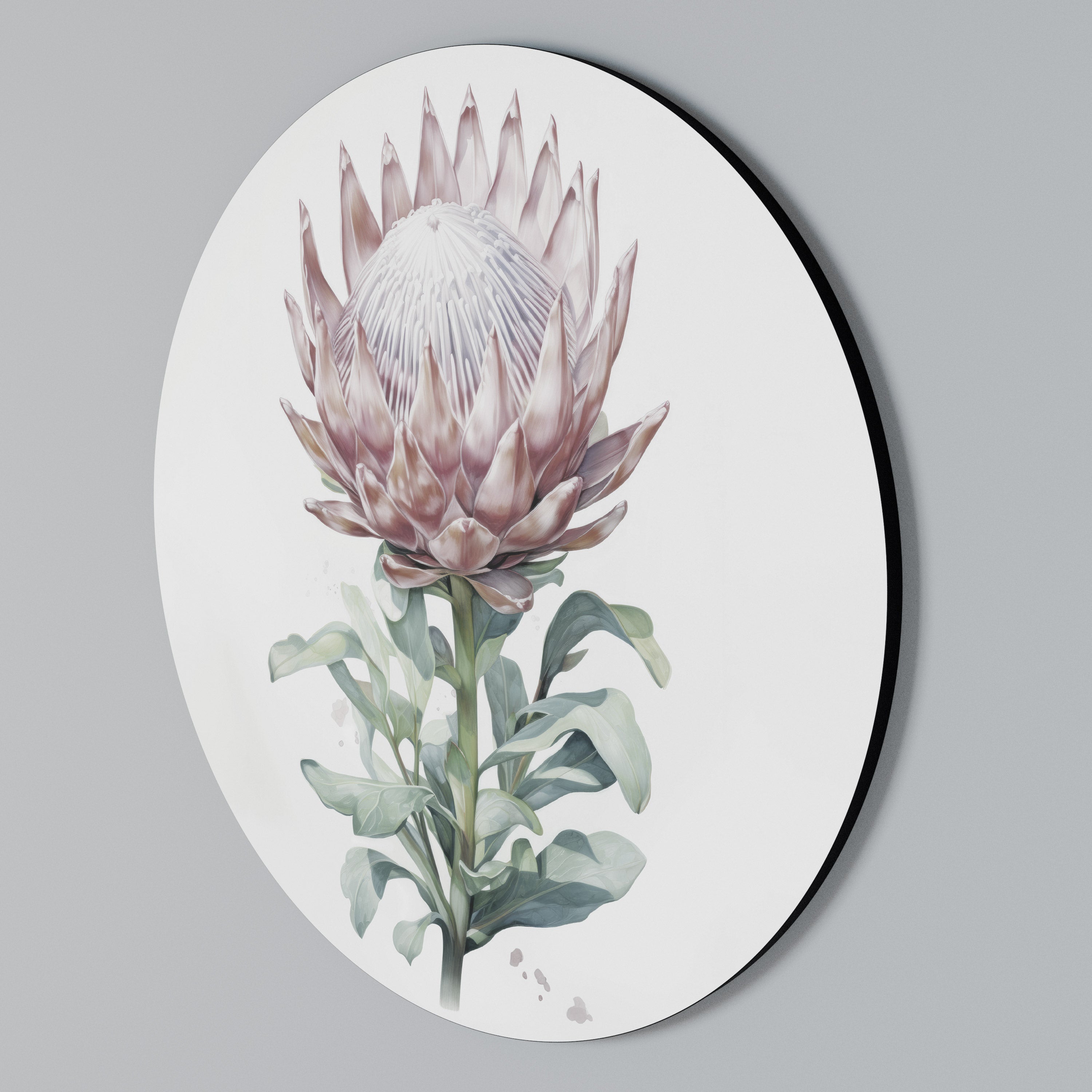 ROYAL PROTEA Arte de Parede Redonda