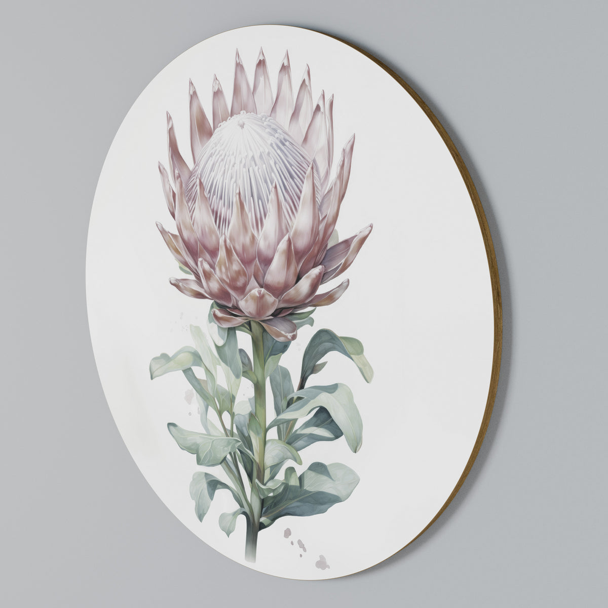 ROYAL PROTEA Arte de Parede Redonda