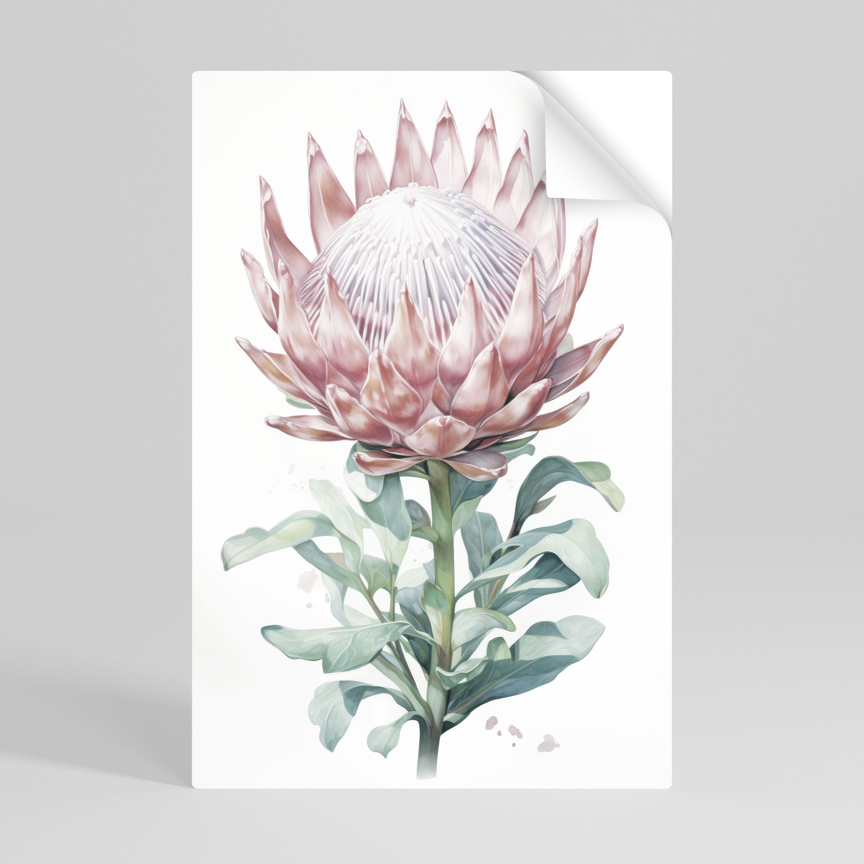 ROYAL PROTEA Poster Vertical Autocolante