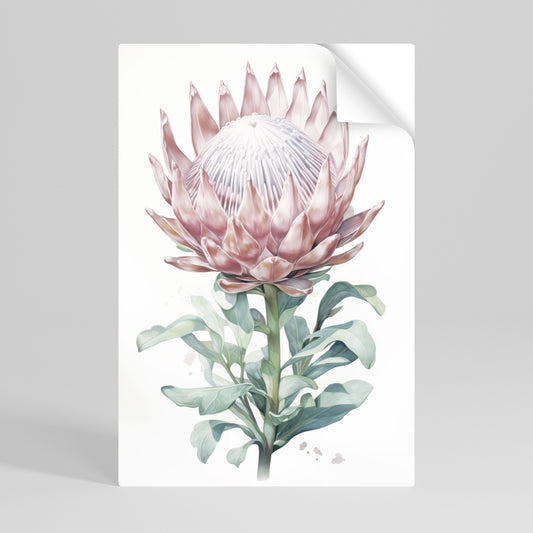 ROYAL PROTEA Póster Autocolante Vertical