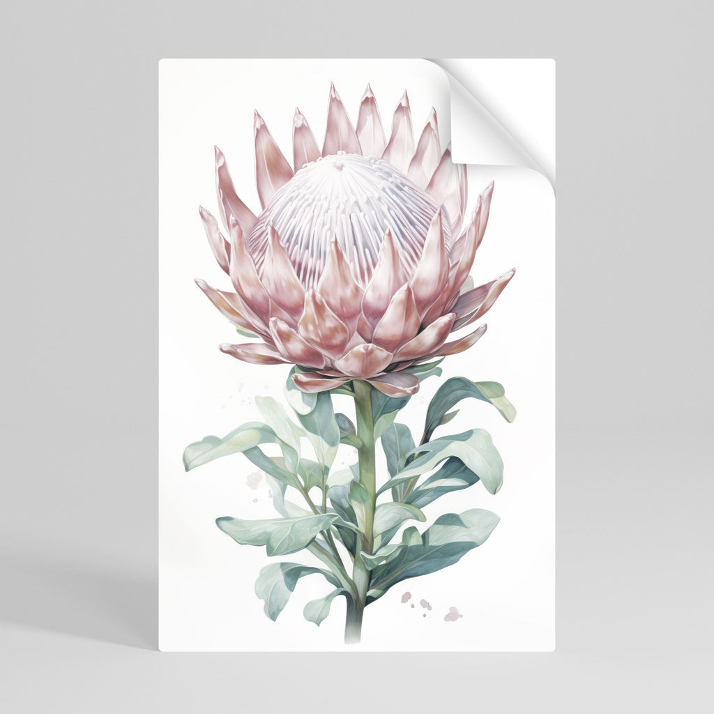 ROYAL PROTEA Poster Vertical Autocolante