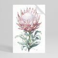 ROYAL PROTEA Poster Vertical Autocolante