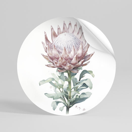 ROYAL PROTEA Autocolante Redondo Removível