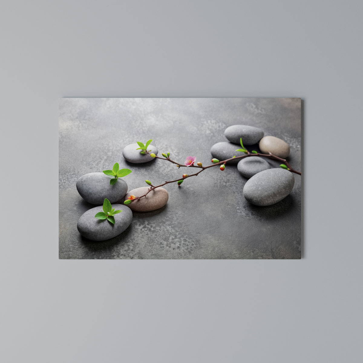 STONES AND BLOSSOMS Horizontal Canvas Print