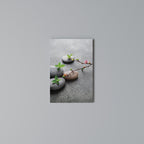STONES AND BLOSSOMS Vertical Canvas Print