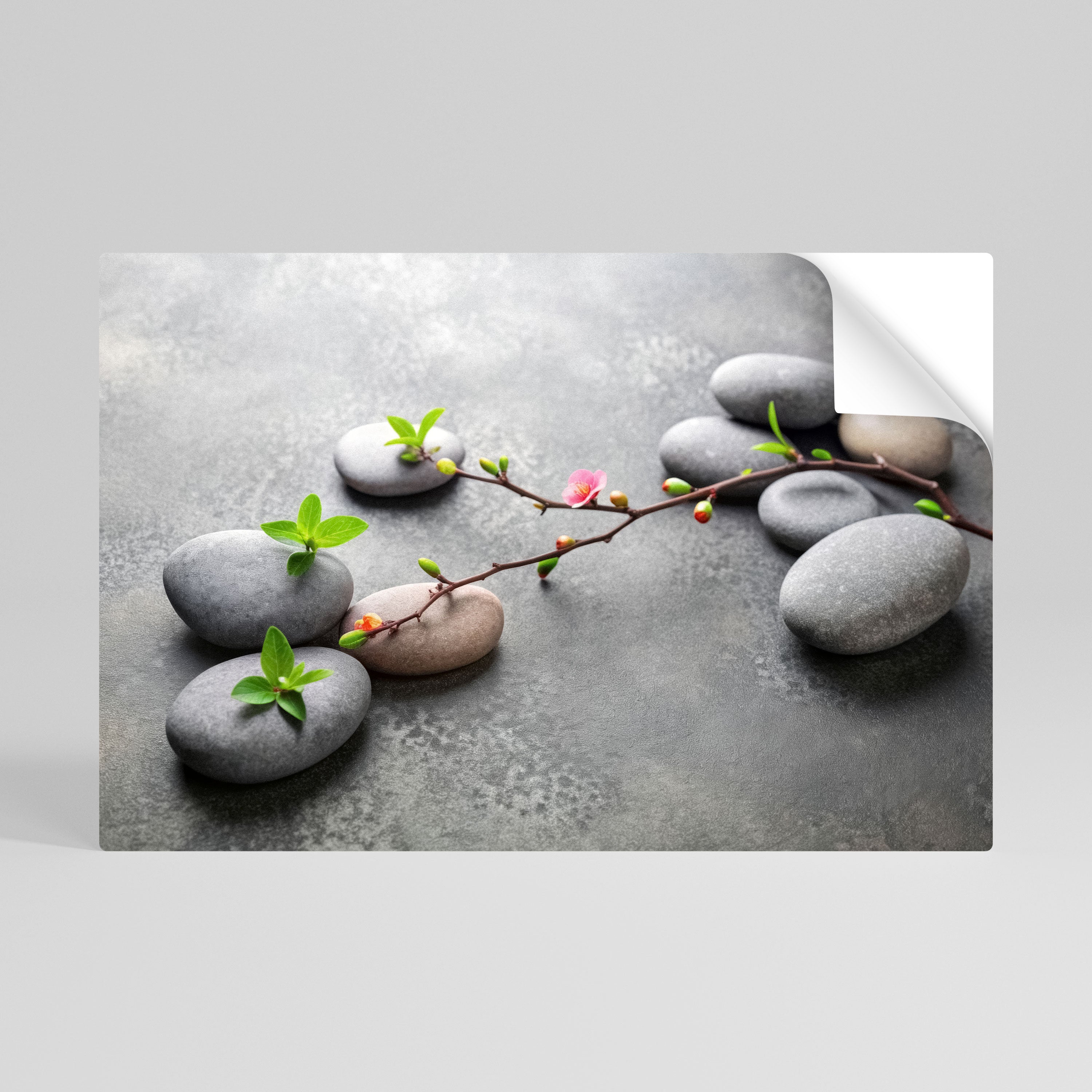 STONES AND BLOSSOMS Póster Autocolante Horizontal