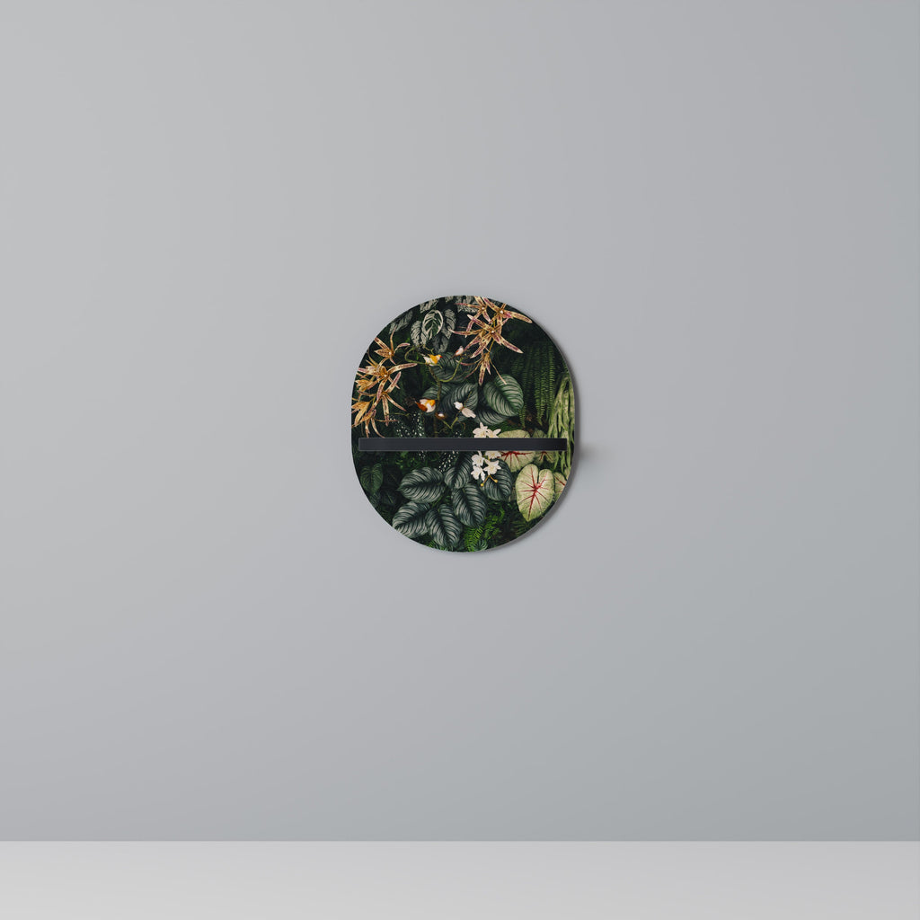SILENT WILDERNESS Oval Art Shelf In Black Finish