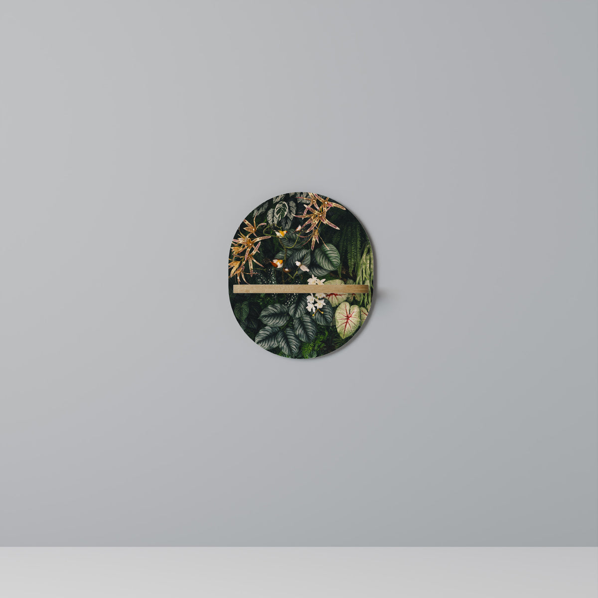 SILENT WILDERNESS Prateleira Artística