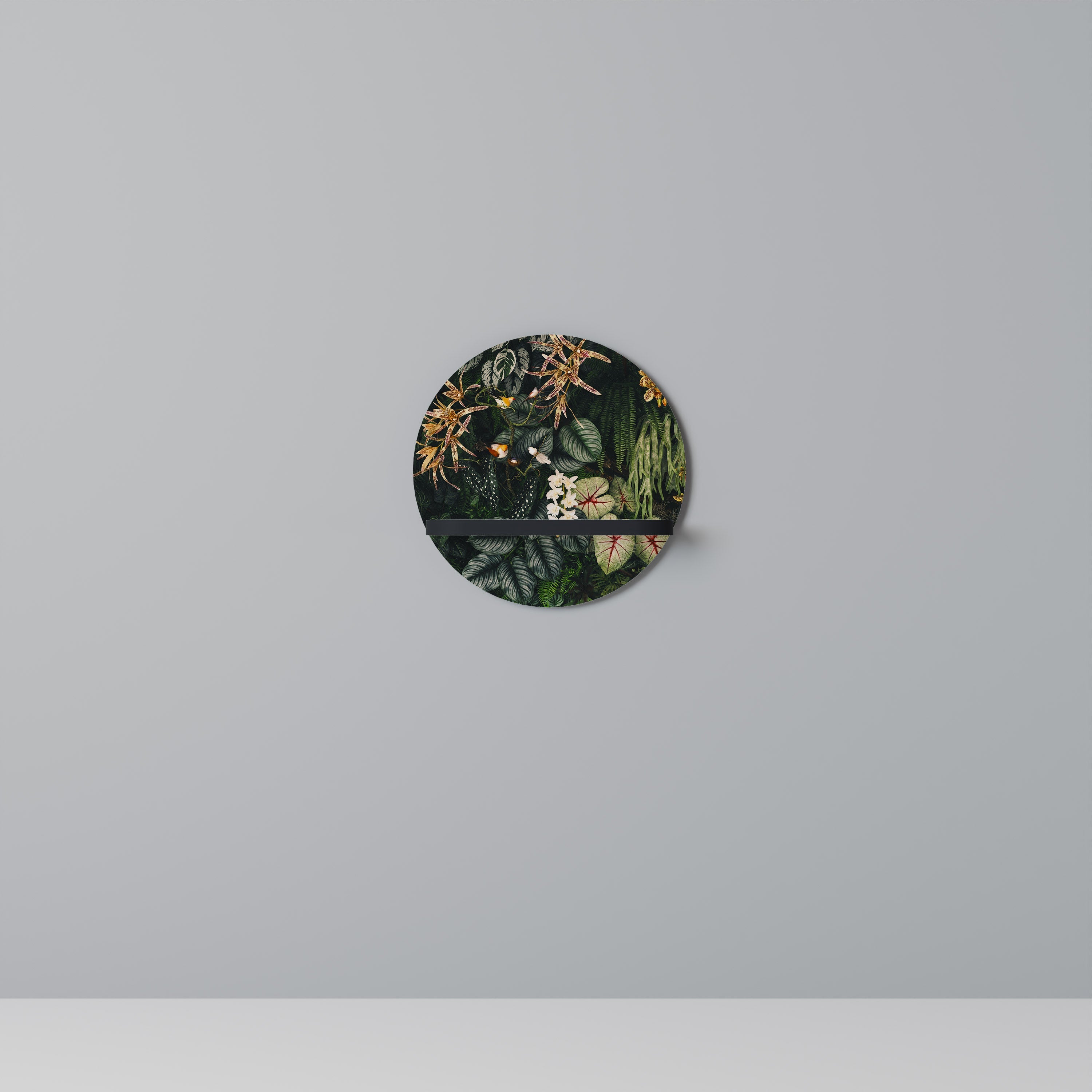 SILENT WILDERNESS Round Art Shelf In Black Finish