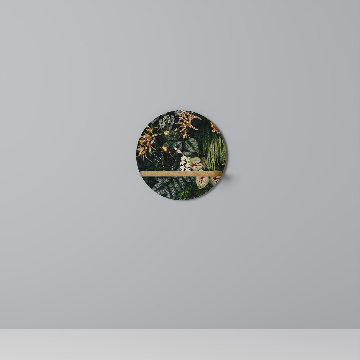 SILENT WILDERNESS Art Shelf