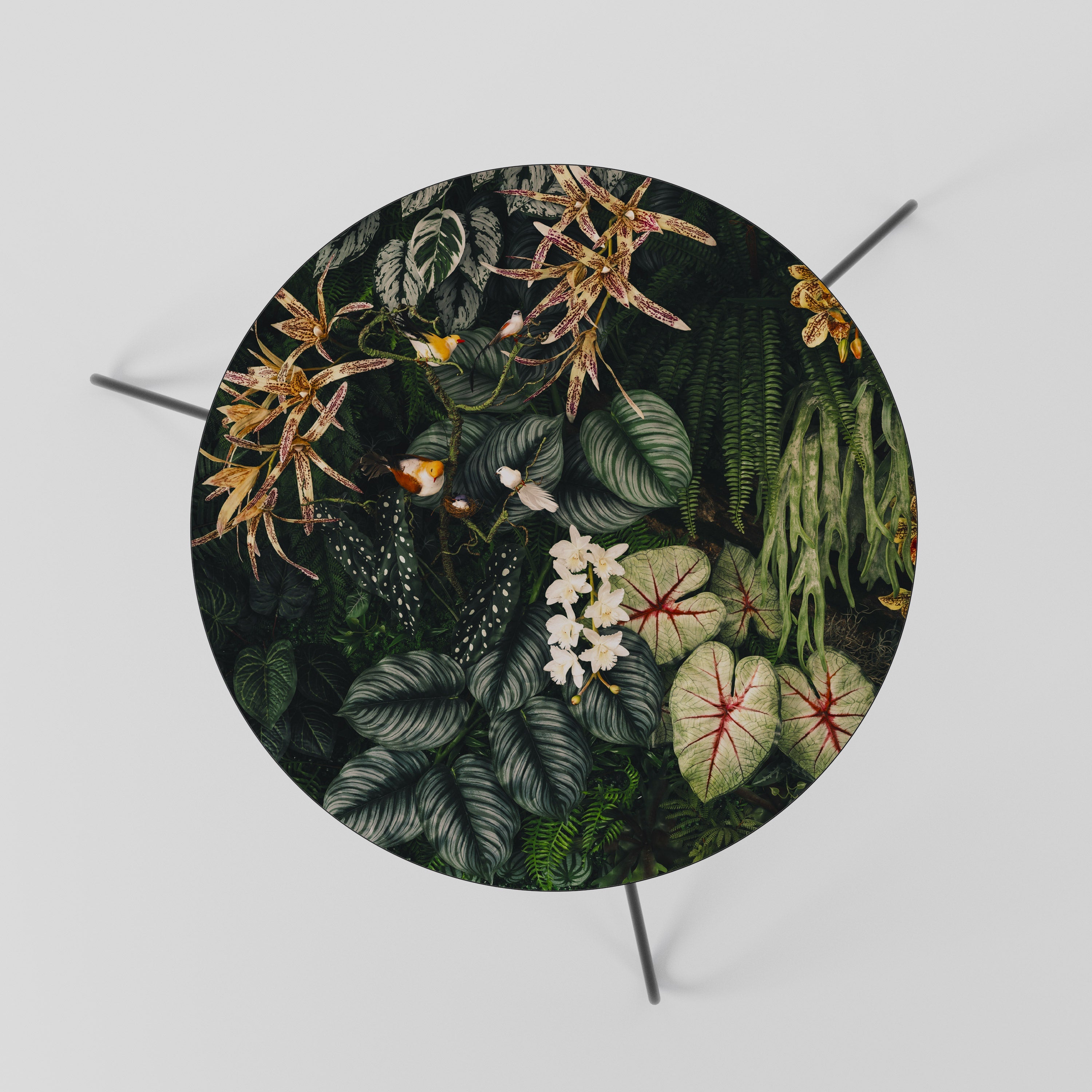 SILENT WILDERNESS Mesa de Centro 60