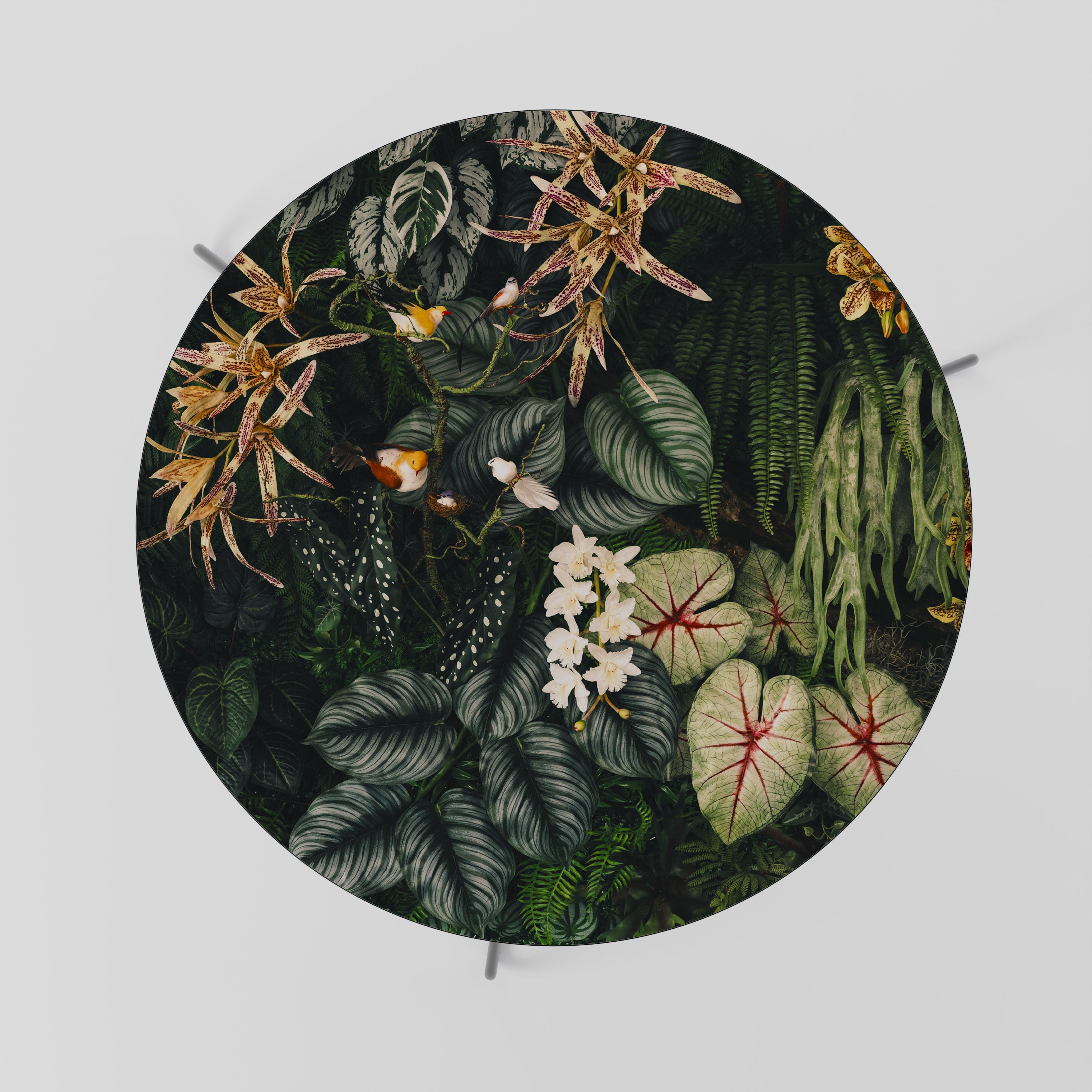 SILENT WILDERNESS Mesa de Centro 69