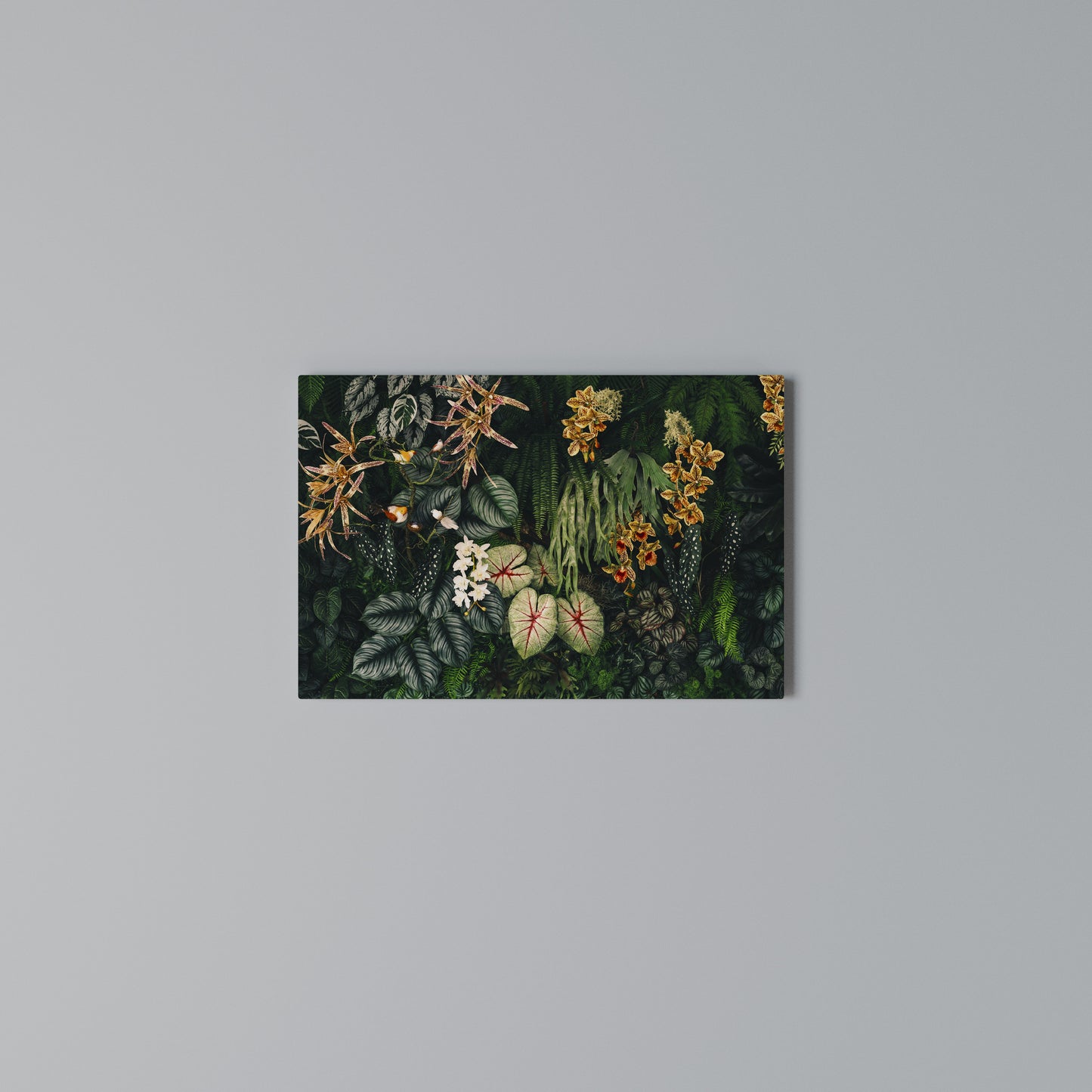 SILENT WILDERNESS Horizontal Canvas Print