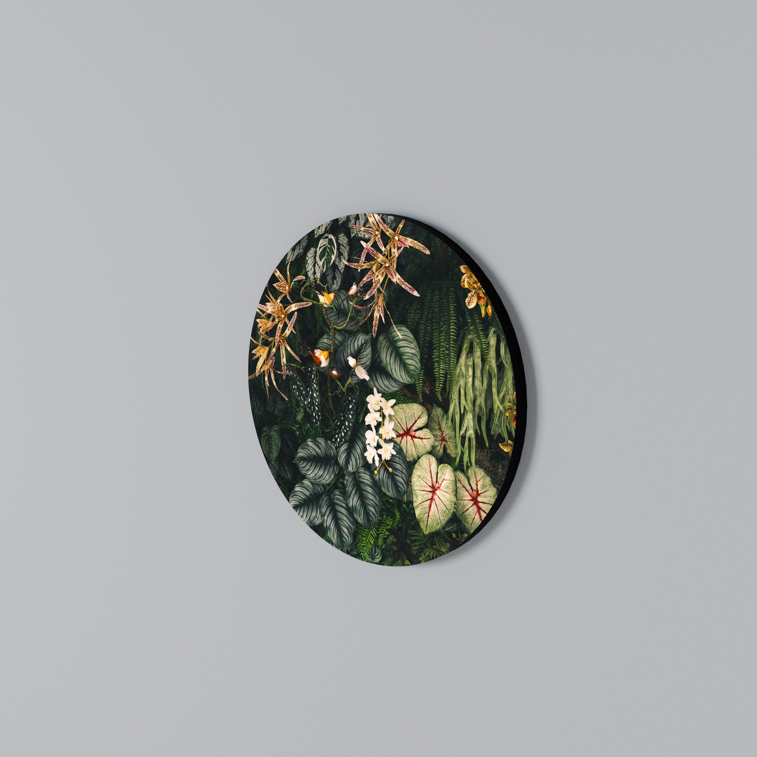 SILENT WILDERNESS Arte de Parede Redonda