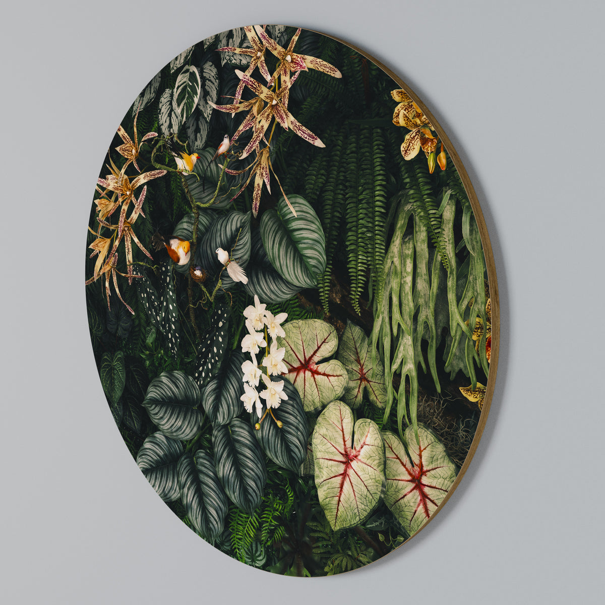 SILENT WILDERNESS Arte de Parede Redonda