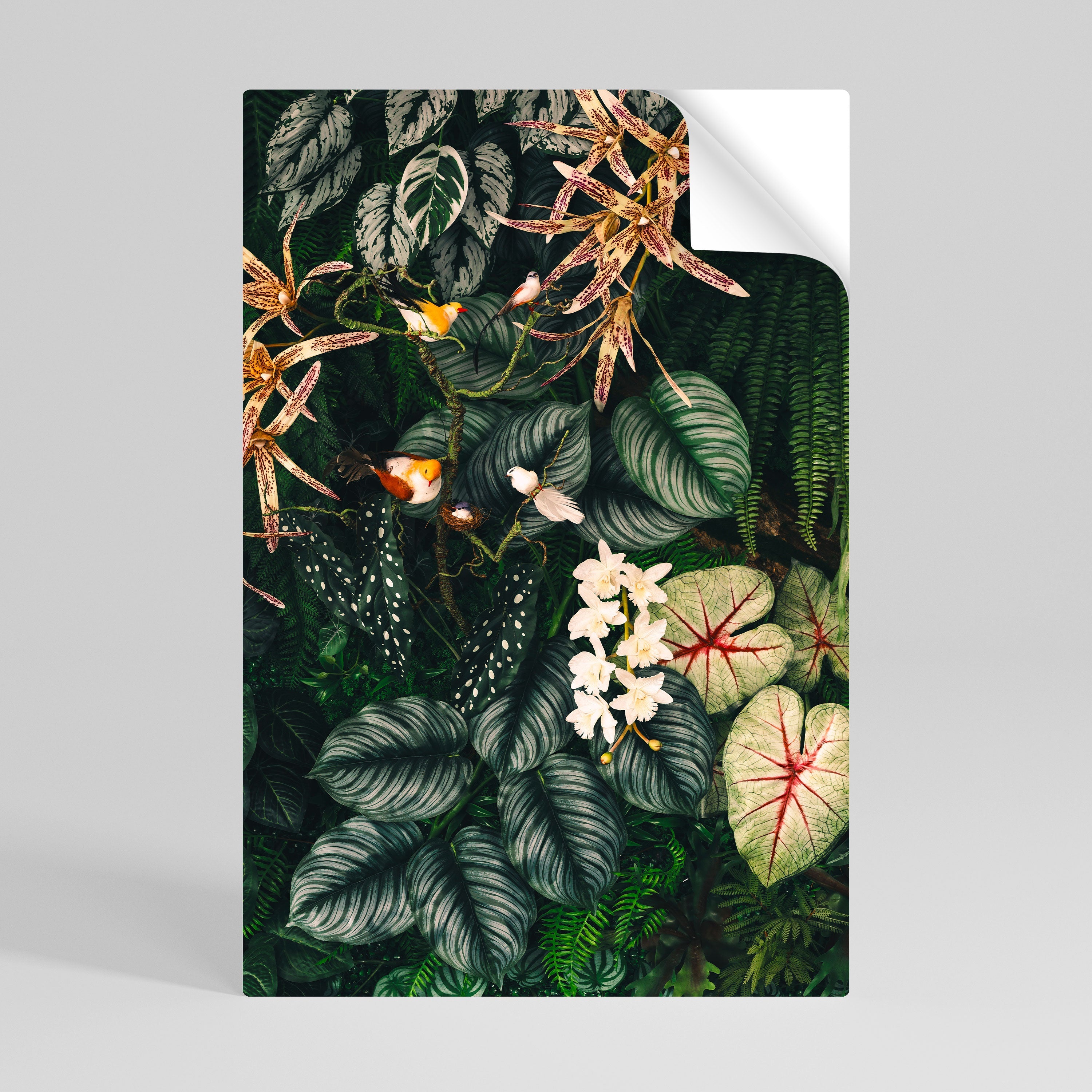 SILENT WILDERNESS Poster Vertical Autocolante