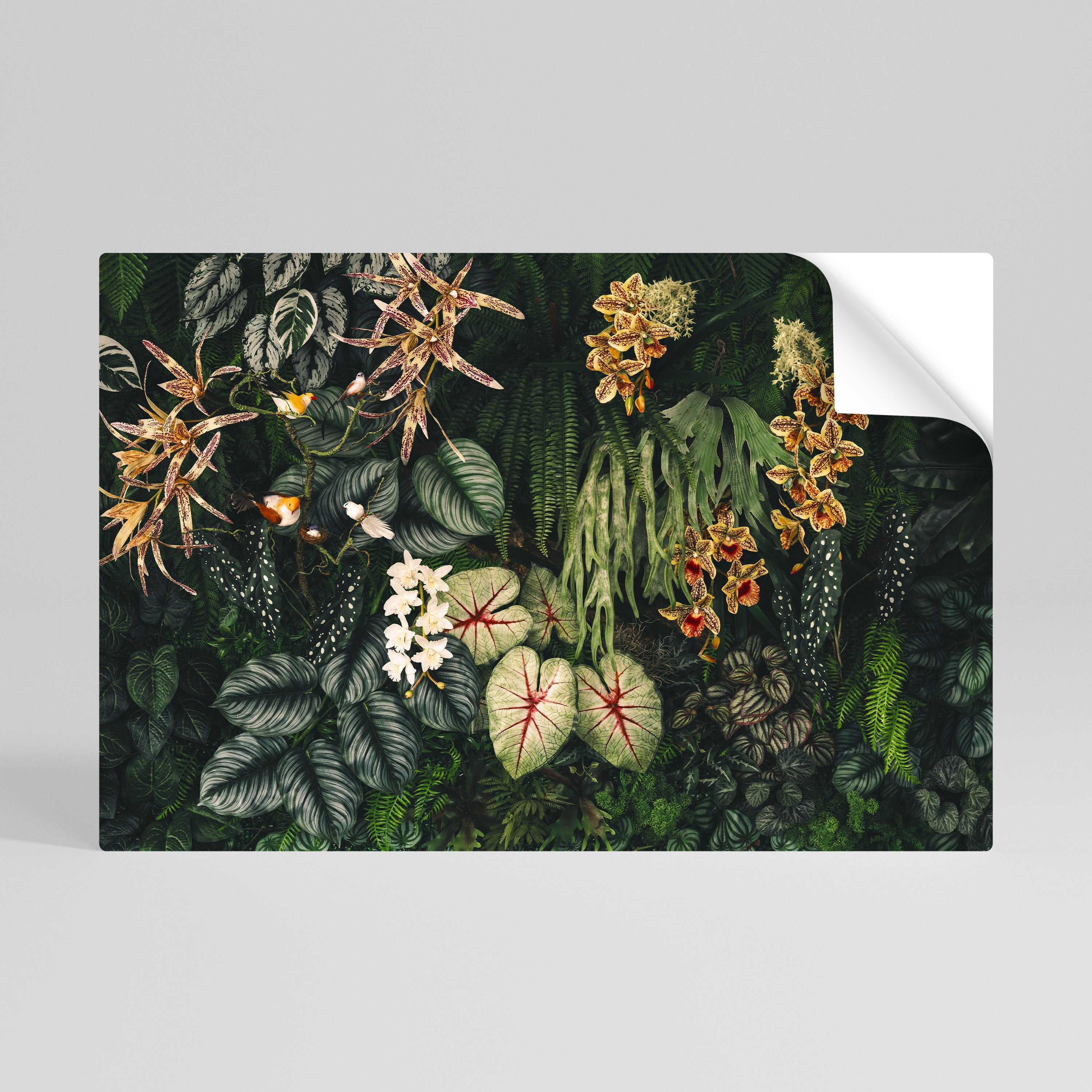 SILENT WILDERNESS Peel and Stick Horizontal Poster