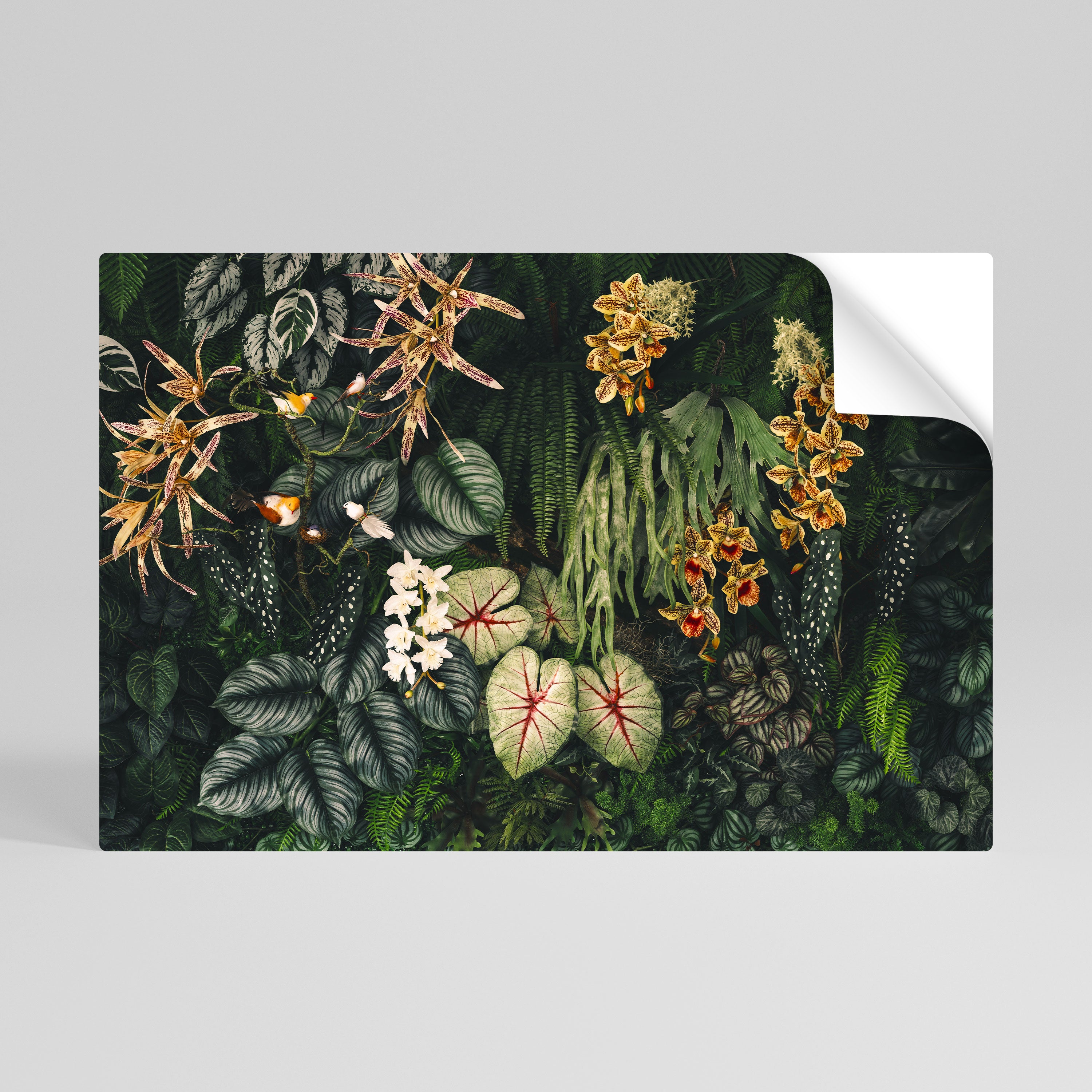 SILENT WILDERNESS Póster Autocolante Horizontal