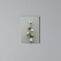 COTTON DREAMS UNFOLDED Quadro em tela vertical