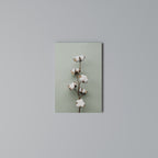 COTTON DREAMS UNFOLDED Quadro em tela vertical