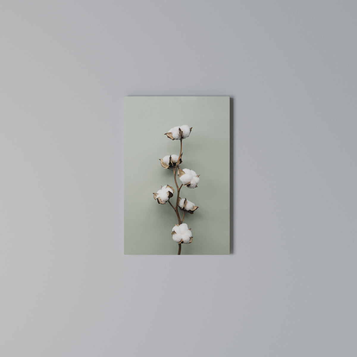 COTTON DREAMS UNFOLDED Quadro em tela vertical