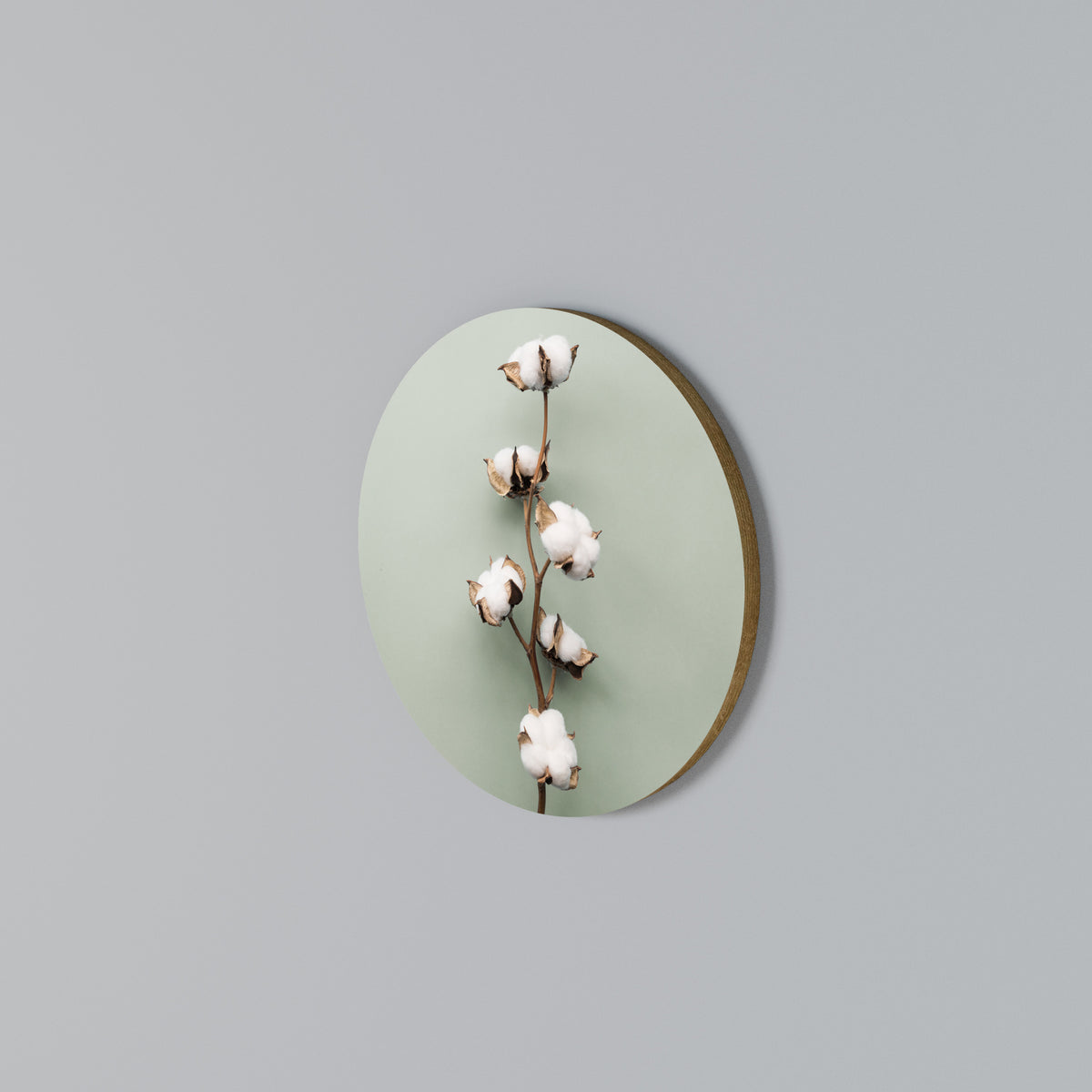 COTTON DREAMS UNFOLDED Arte de Parede Redonda